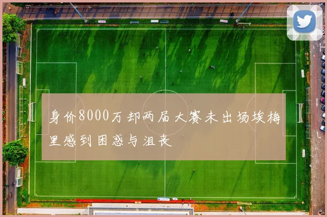 身价8000万却两届大赛未出场埃梅里感到困惑与沮丧